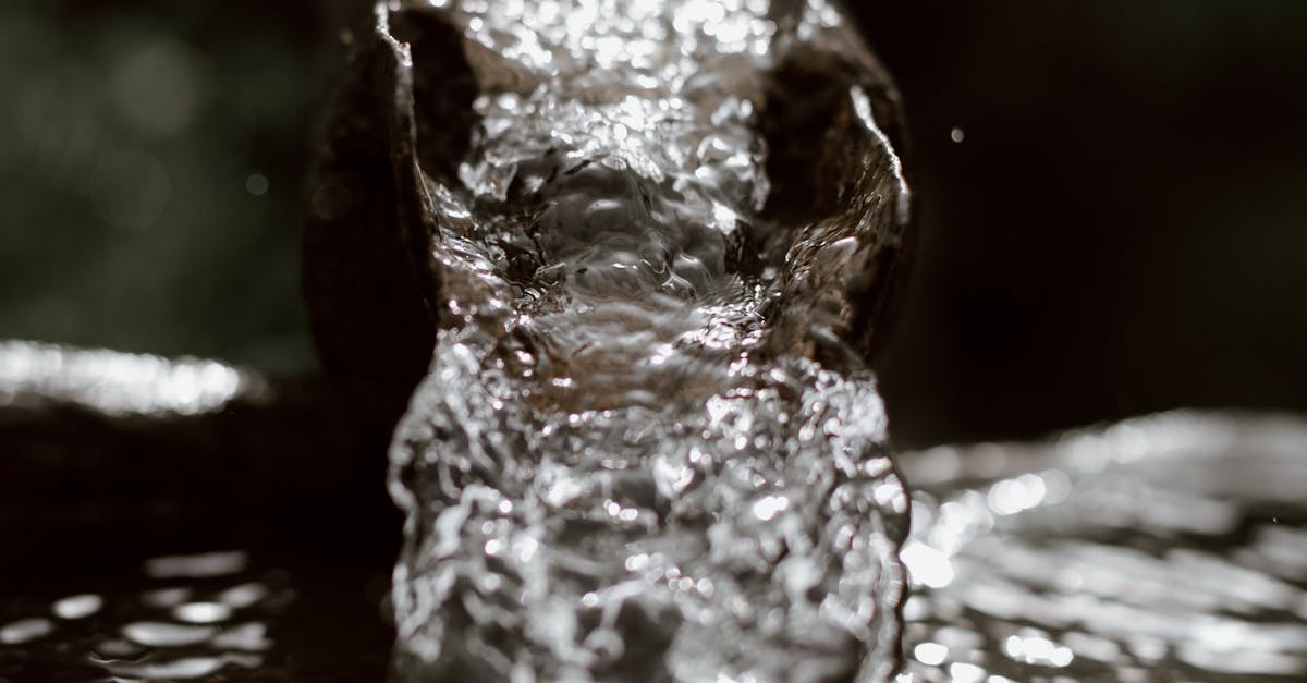 Best Practices for Complying with Sewer Line Regulations  