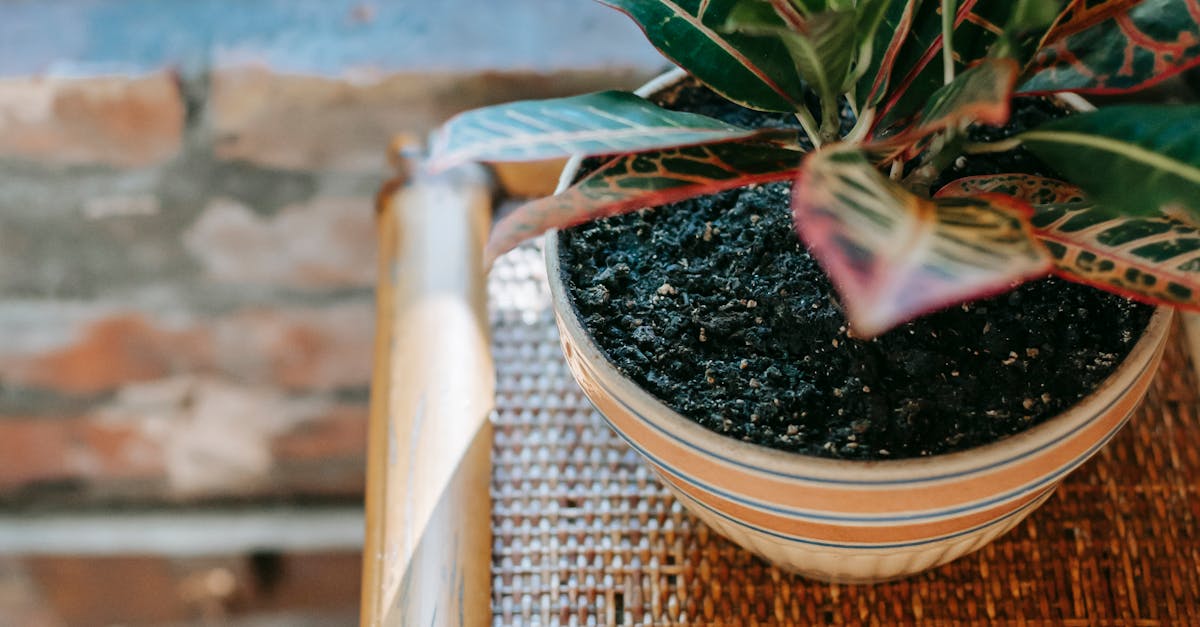 Can a plumber fix a sink?