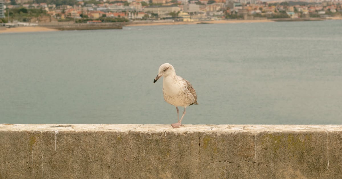 Common Mistakes to Avoid During Faucet Installation