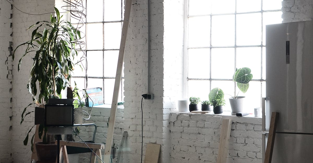 How can I tell if my sewer line is broken?