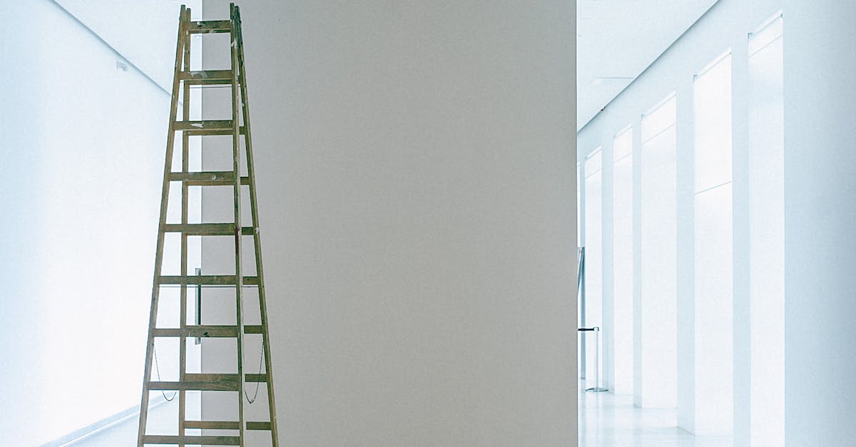 How do you fix a backed up sewer line?