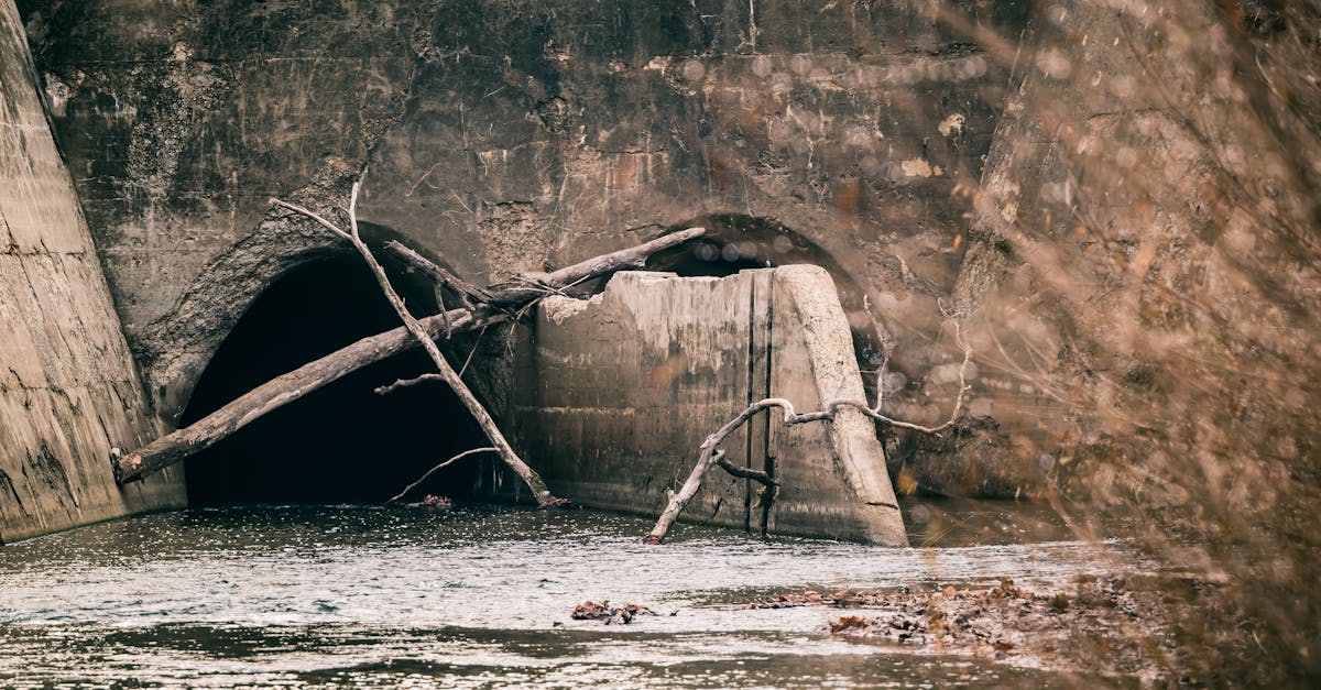 How much do plumbers charge to change a tap?