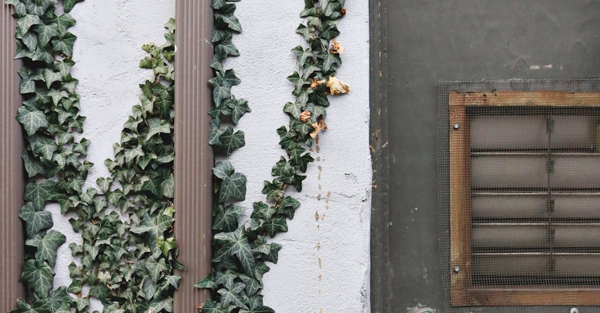 How much does it cost to install a new toilet?