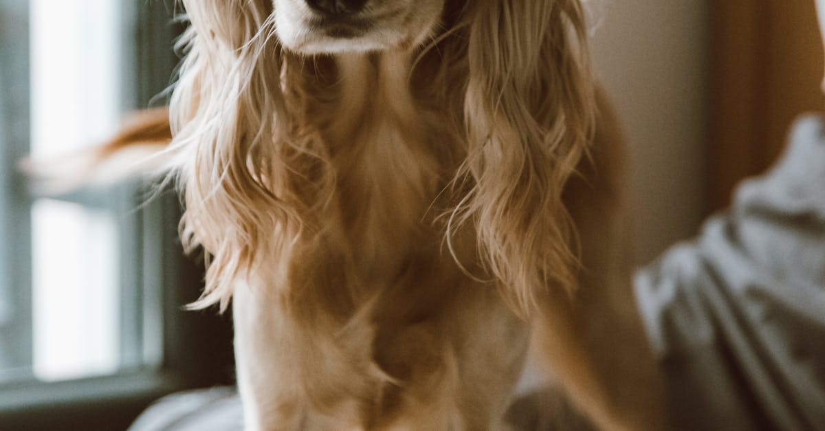 How much to fix a leak under a kitchen sink?