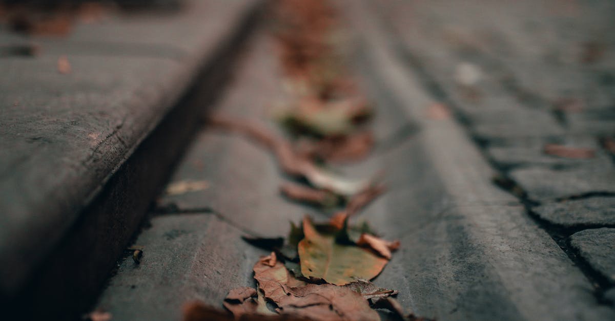 How to Install a Toilet in a Small Bathroom  