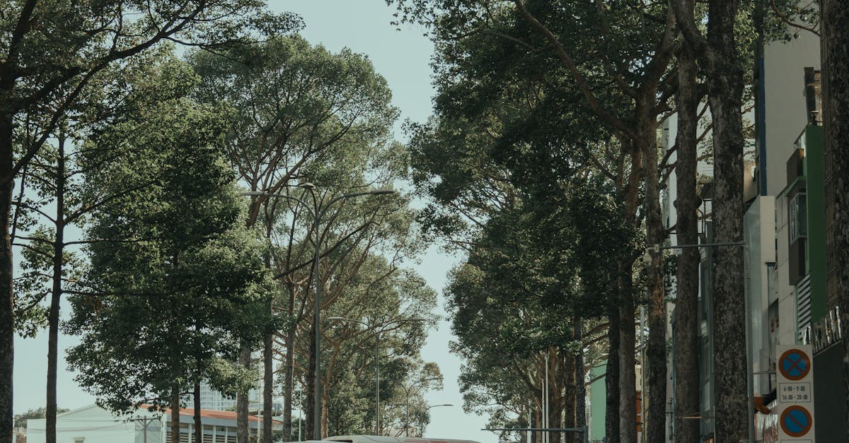 What is the life expectancy of a faucet?